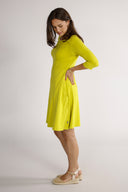 Denise's lime dress
