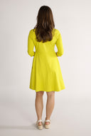 Denise's lime dress