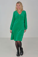 Janka green velvet dress