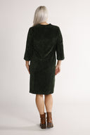 Petra combo green velvet dress