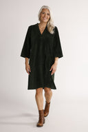 Petra combo green velvet dress
