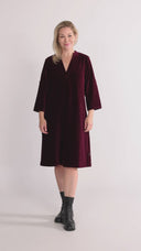 Petra burgundy velvet dress