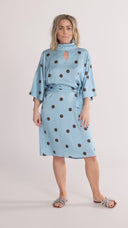 Cornelia dress blue and brown dots