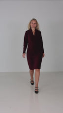 Elsi burgundy dress