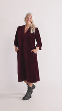 Regine Burgundy Velvet Dress